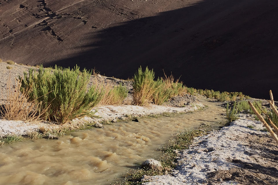 Docencia y Capacitación
